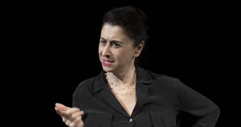 Metaforicamente Schiros